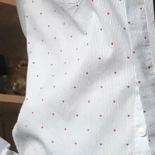 Jättesnygg skjorta från HM, som är tunt blå och vit randig, med små röda hjärtan på och en ficka över högra bröstet. Köpt för 200 kr säljer för 50 kr.. Skjortor.