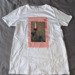 T-shirt från nakd - T-shirt från nakd.com. Storlek XS men passar S också. Fint tryck på framsidan. Använd några gånger men fint skick. Priset är inkluderat frakt. Köpt för 249kr