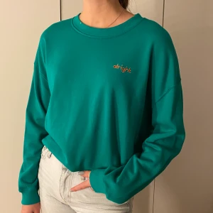 Sweatshirt - Färgen syns bäst på sista bilden