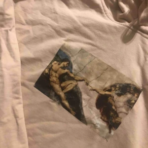  - Skitsnygg ljusrosa hoodie med ”Adams skapelse” som tryck💕 Köpt begagnad här på Plick, aldrig använd av mig.  Säljes pga att den ej passade mig.  