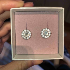  - Örhängen från Lily and rose. Använda max 5 gånger. Nypris 295 kr
