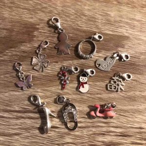  - Silver 925 berlocker från guldfynd 50kr/styck eller alla för 300 kr  Kan fraktas!!!