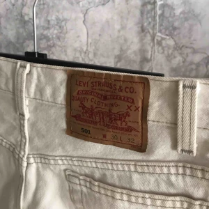  - Shorts från Levis, har en liten fläck vid dragkedjan 🕊frakt tillkommer🕊 🦋kolla gärna in mina andra annonser🦋