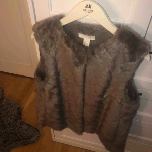  - Köparen står för frakten (50kr) annars finns jag i Eskilstuna  Brungrå pälsväst från H&M. Stängs med hakar, två ytterfickor. 