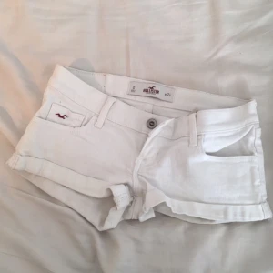  - Hollistershorts