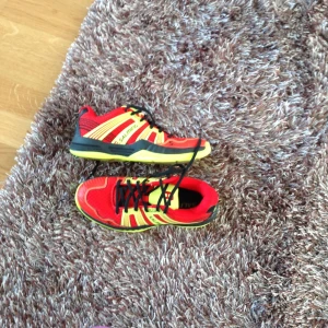  - Salming sko, som nya