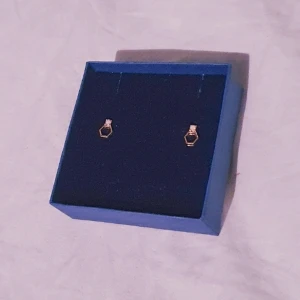 Örhängen ♡ - Honungsinspererade örhängen oanvända♡ Obs lådan ingår ej♡