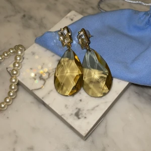 Örhängen Dybern/Kern - Äkta, aldrig använda, förpackning finns. Säljer för 199kr.