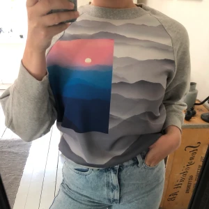 Snygg grå sweatshirt - En grå kortare sweatshirt från Weekday.