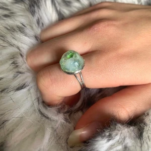 EarthlingsSilver UF 1 - Ring nr 1. Ringstommen är justerbar och gjord av silver. 1/5 av ringens kostnad går till WWF. Du betalar ringens kostnad+frakt. 