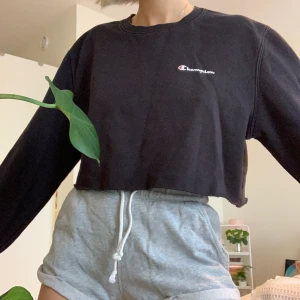 Cropped champion - Avklippt champion-sweatshirt, köpt second hand men jättefint skick! 150 kr inklusive frakt! Stl XL men sitter bra på mig som har S