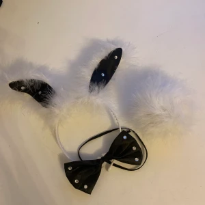 Halloween Playboy kanin  - Utklädnad kanin. Använt en gång