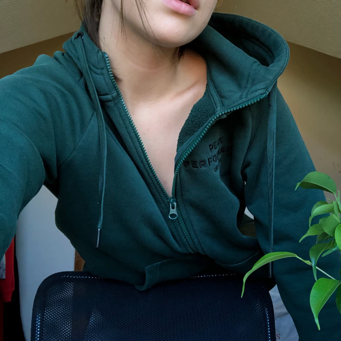 Peak Performance hoodie  - 90