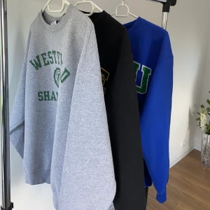 Vintage champion sweater  - Säljer vintage sweater från champion. Oversized modell på någon som när kille-S tjej-x/m. Buda i privatmeddelande så skriver jag högsta bud i kommentarerna. Säljer för lägst 500 kronor. 💫  (kolla andra annonser för de andra tröjorna) 