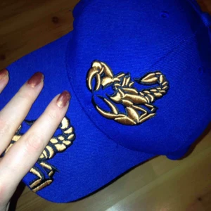  - Kleinblå keps med guldaktiga skorpioner på. 
