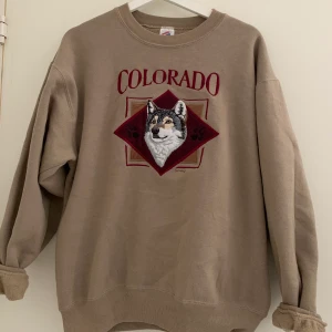 Collegetröja  - Super härlig collegetröja som är nästan helt ny! Den är super mjuk att ha på sig och passar nu till vintern. Stl är M men är snyggt overzised på mig som XS ☺️ HÖGSTA BUD: 350kr!