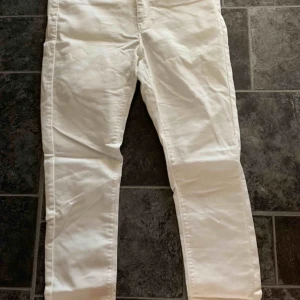  - Nya Ankelbyxor bakbok stl L  