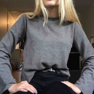  - Säljer en jättesöt tröja som är använd fåtal gånger!! Den är grå och har vida ärmar vilket är så jävla snyggt! Vi kan säkert dela på priset för frakten!💓