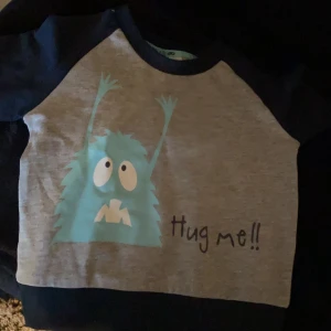 Långärmad tröja  - Långärmad tröja 