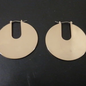 Öronringar  - Öronringar i cirkulär form.  Ny används inte