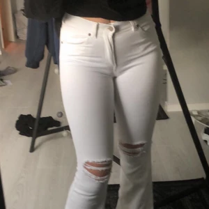Dr. denim bootcut / flare jeans - Använder aldrig, inte alls genomskinliga. 💖 