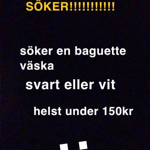 Baguette väska  - Söker en baguette väska svart eller vit helst under 150kr