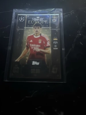 Topps Match Attax Benfica samlarkort topps match attack Liverpool  - Säljer ett Match Attax samlarkort från Topps med temat 'Kings of Europe'. Har har du två spelare Antonio silva och Ryan gravenberch i nytt skick och inlagda i en plast ficka 