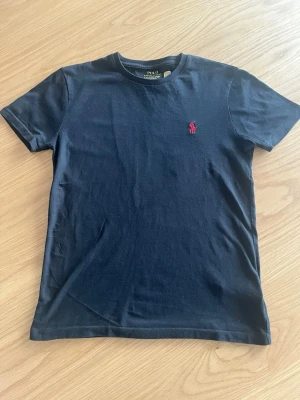 Ralph Lauren t-shirt - Hej säljer denna Ralph Lauren t-shirt då den är alldeles för liten. Den har inga fula märken och är i väldigt bra skick. 