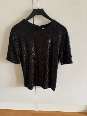 Svart paljett-topp med rund hals - Snygg svart topp täckt med glittriga paljetter. Modellen har rund halsringning och korta ärmar, perfekt för dig som vill sticka ut lite extra.Toppen har en rak passform och känns riktigt trendig.