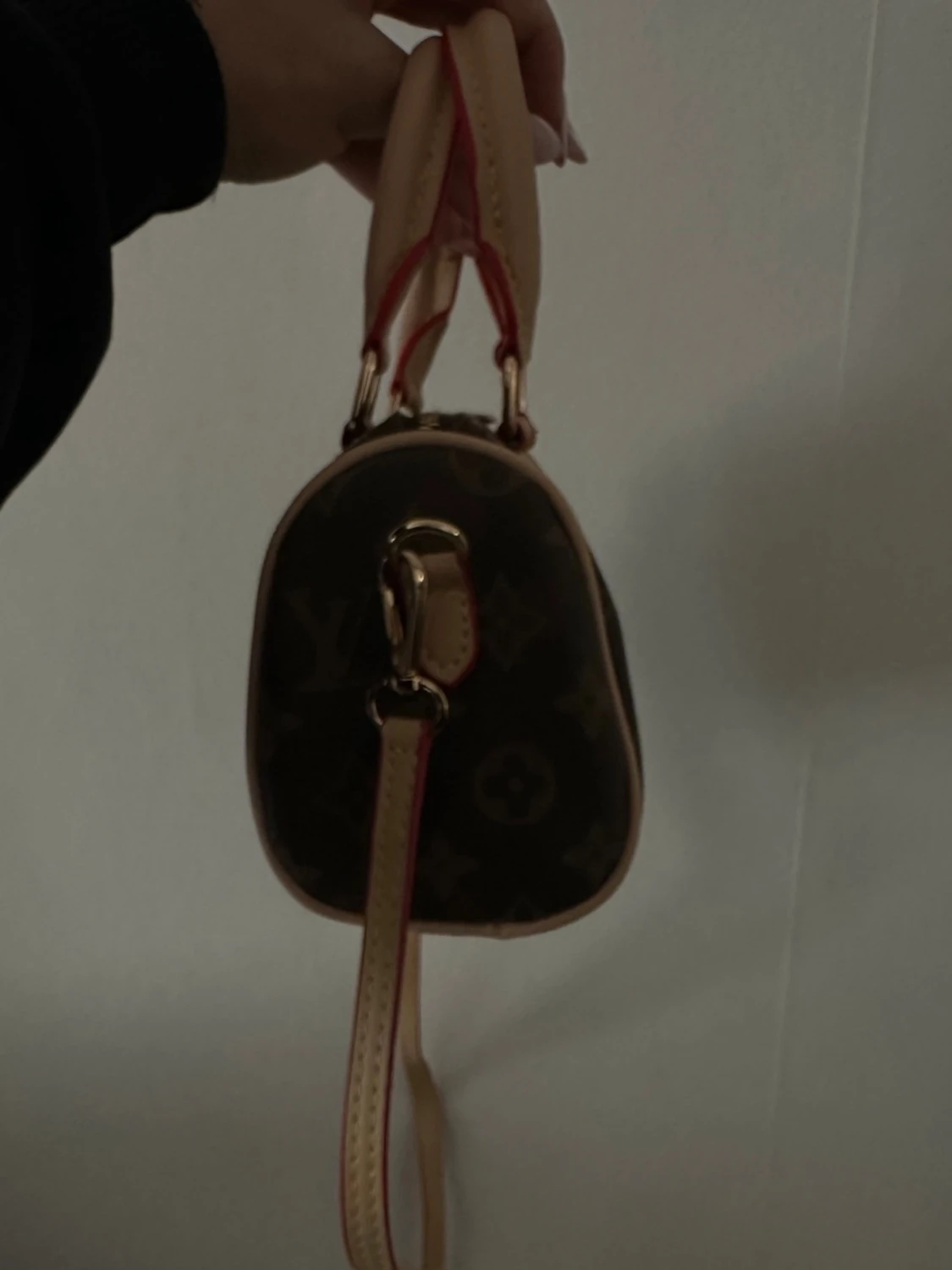  Monogram Mini Speedy - 3