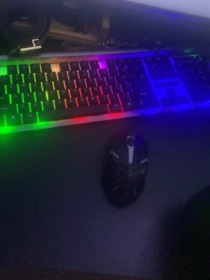 RGB-tangentbord och gamingmus - Säljer ett svart tangentbord med RGB-belysning i flera färger och en svart gamingmus med ergonomisk form. Tangentbordet har tydliga knappar och snygg ljuseffekt, perfekt för gaming eller datorarbete. Materialet är plast.