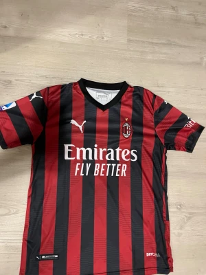 AC Milan matchtröja Puma röd/svart - Snygg AC Milan matchtröja från Puma i röd och svart med klassiska vertikala ränder. Tröjan har korta ärmar, V-ringning och klubbmärke på bröstet. Tillverkad i lätt och funktionellt DryCell-material som andas. Perfekt för fotbollsträning eller att bära till vardags.