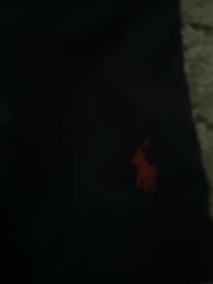 Marinblå badbyxor med röd logga - Snygga marinblå badbyxor från Polo Ralph Lauren med klassisk röd broderad logga på benet. Modellen har elastisk midja med vit dragsko och är tillverkad i snabbtorkande material. Perfekta för stranden eller poolen.