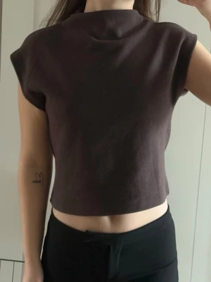 Mörkbrun croppad topp - Säljer en enkel och stilren mörkbrun croppad topp med korta ärmar och hög hals. Toppen har en loose passform och är tillverkad i ett mjukt material som känns skönt mot huden. Perfekt att matcha med höga byxor eller kjol.