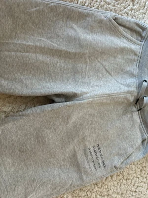 Gråa shorts Peak Performance  - Snygga grå shorts från Peak Performance med snören vid midjan och fickor på sidorna. Tillverkade i mjukt bomullsmaterial och har diskret logga tryckt på ena låret. Perfekta med vit t shirt till sommaren. Shortsen är inte skadade på något sätt utan säljer de eftersom att de inte passar längre. Shortsen är mycket bekväma och sitter bra. Storlek 170 passar även S.