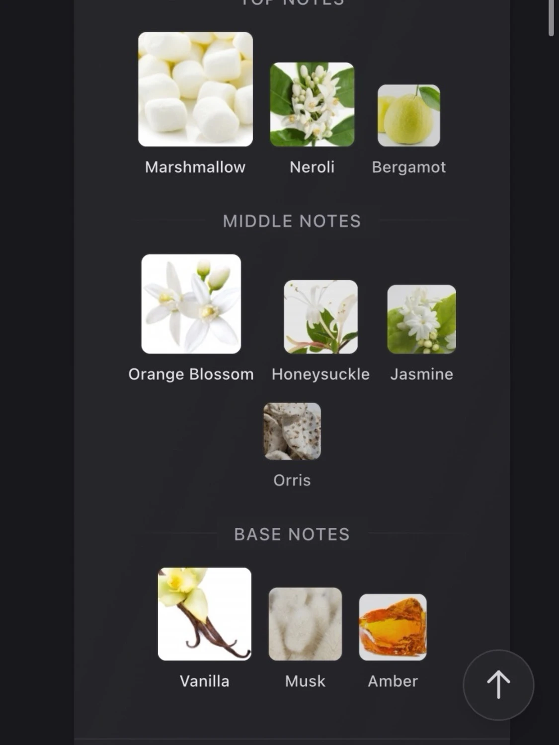 Dossier Floral Marshmallow edp - 3