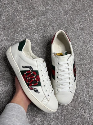 Gucci Ace ”Snake” - Gucci Ace ”Snake”| Storlek: 41 passar 42| Skick: 9/10 mycket fint skick!| Pris: 2099kr| Priset går alltid att diskutera😊