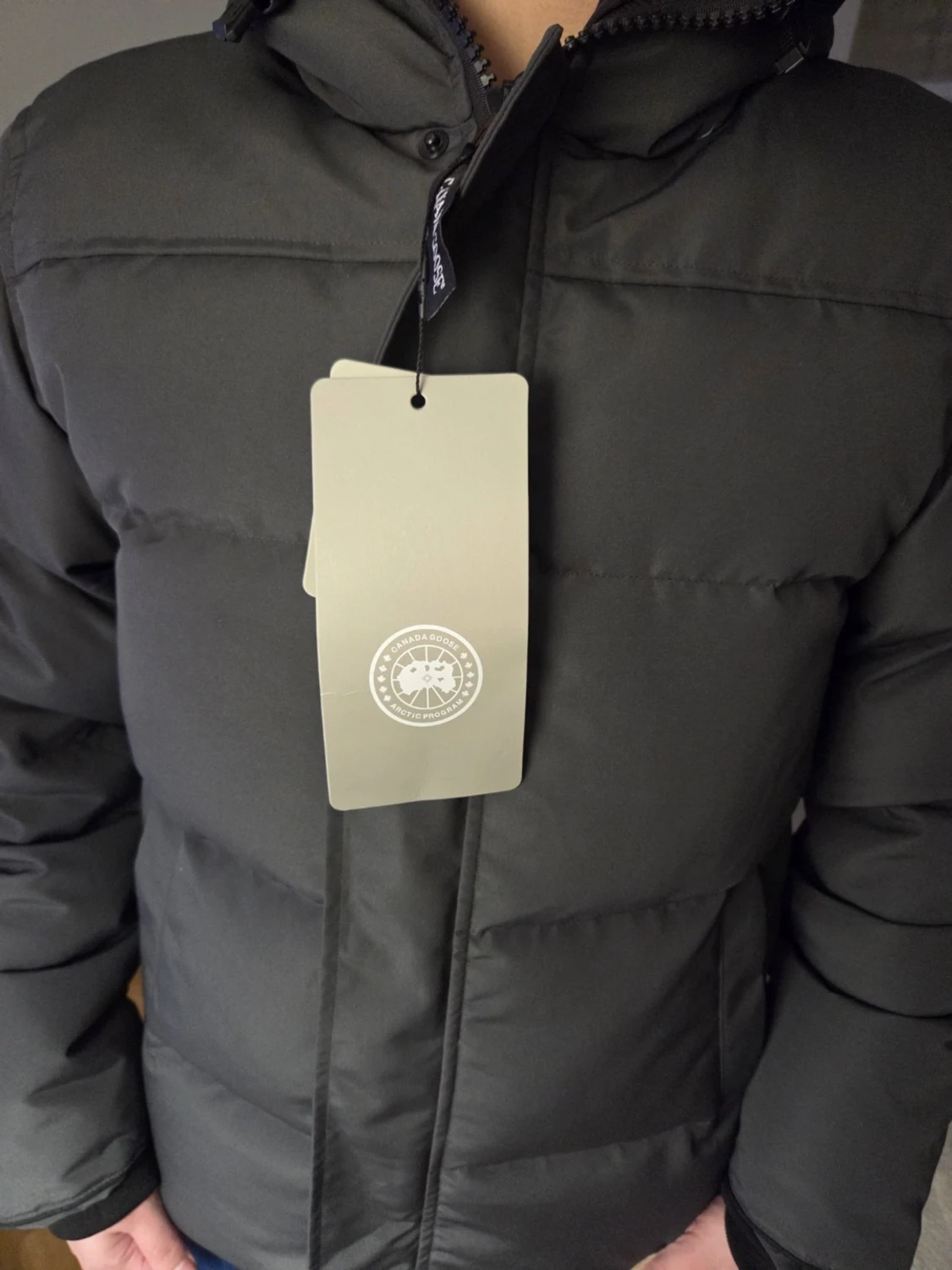 Canada Goose  - 2