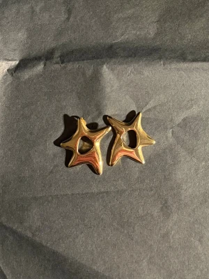 Edblad örhängen  - Stjärnformad design. 14k guldplätering på rostfritt stål, nickelsäkert!