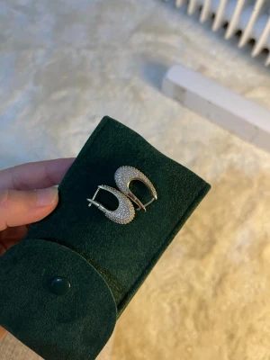 Guldiga örhängen med stenar - Säljer ett par eleganta örhängen i guldpläterade med gnistrande små stenar över hela ytan. De har en unik, böjd form och stängs med ett smidigt spänne. Perfekta för dig som gillar statement-smycken med lyxig känsla. Rostfritt stål