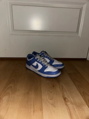 Nike Dunk Low university blue - Nike dunk low university blue. Ser smutsigare ut än vad dom är pga av ljuset i rummet! Använda få gånger. Hör av dig vid minsta lilla tanke!