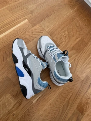 Dior b22 - Nya dior skor i storlek 42 med färger vit och blå.