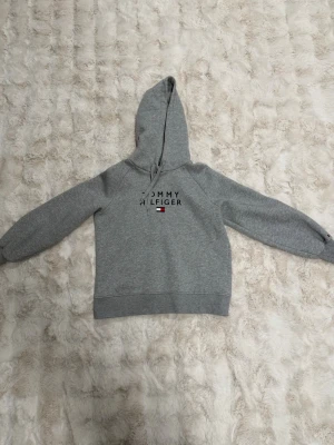 Grå hoodie från Tommy Hilfiger - Snygg grå hoodie från Tommy Hilfiger med klassisk logga och flagga på bröstet. Hoodien har dragsko i huvan och ribbade muddar vid ärmslut och nederkant. Perfekt för en avslappnad och trendig look.