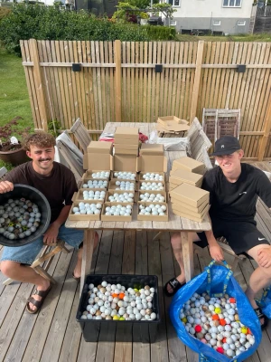 Golfbollar  - Skriv vad du vill ha så kommer vi överens med något pris 😊.      Obs köp inte denna annons 