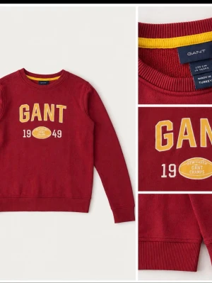 Röd hoodie från GANT - Snygg vintage tröja från gant. Bra skick och perfekt för en snygg outfit