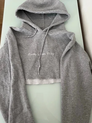 Grå cropped hoodie PrettyLittleThing - Säljer en grå cropped hoodie från PrettyLittleThing med broderad vit text på bröstet. Hoodien har huva med dragsko och rå kant nertill för en avslappnad vibe. Perfekt till jeans eller tights för en chill look.
