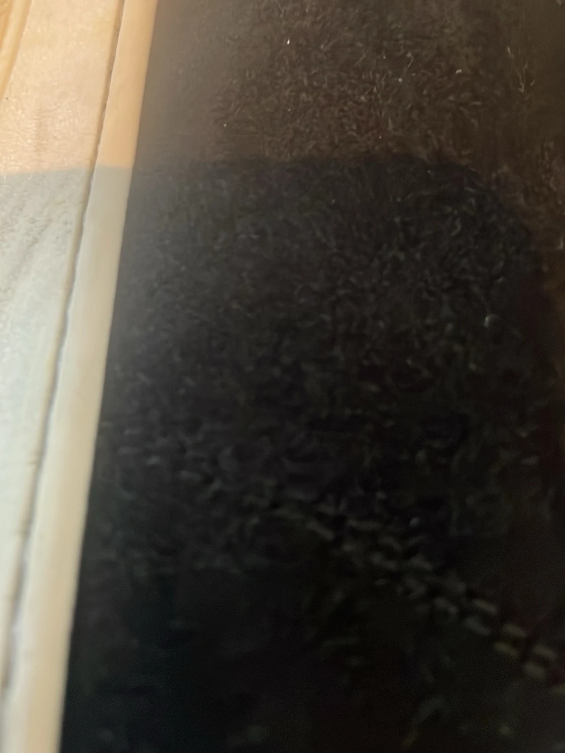 Svarta sneakers från Lanvin - 2