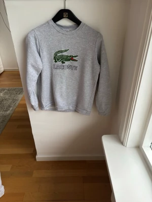 Grå sweatshirt från Lacoste - Grå collegetröja från Lacoste i st 152cm 12år för endast 175kr. Nypris 800kr
