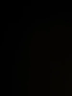 Övrigt - Bilden är för mörk för att identifiera varan eller ge en detaljerad beskrivning.