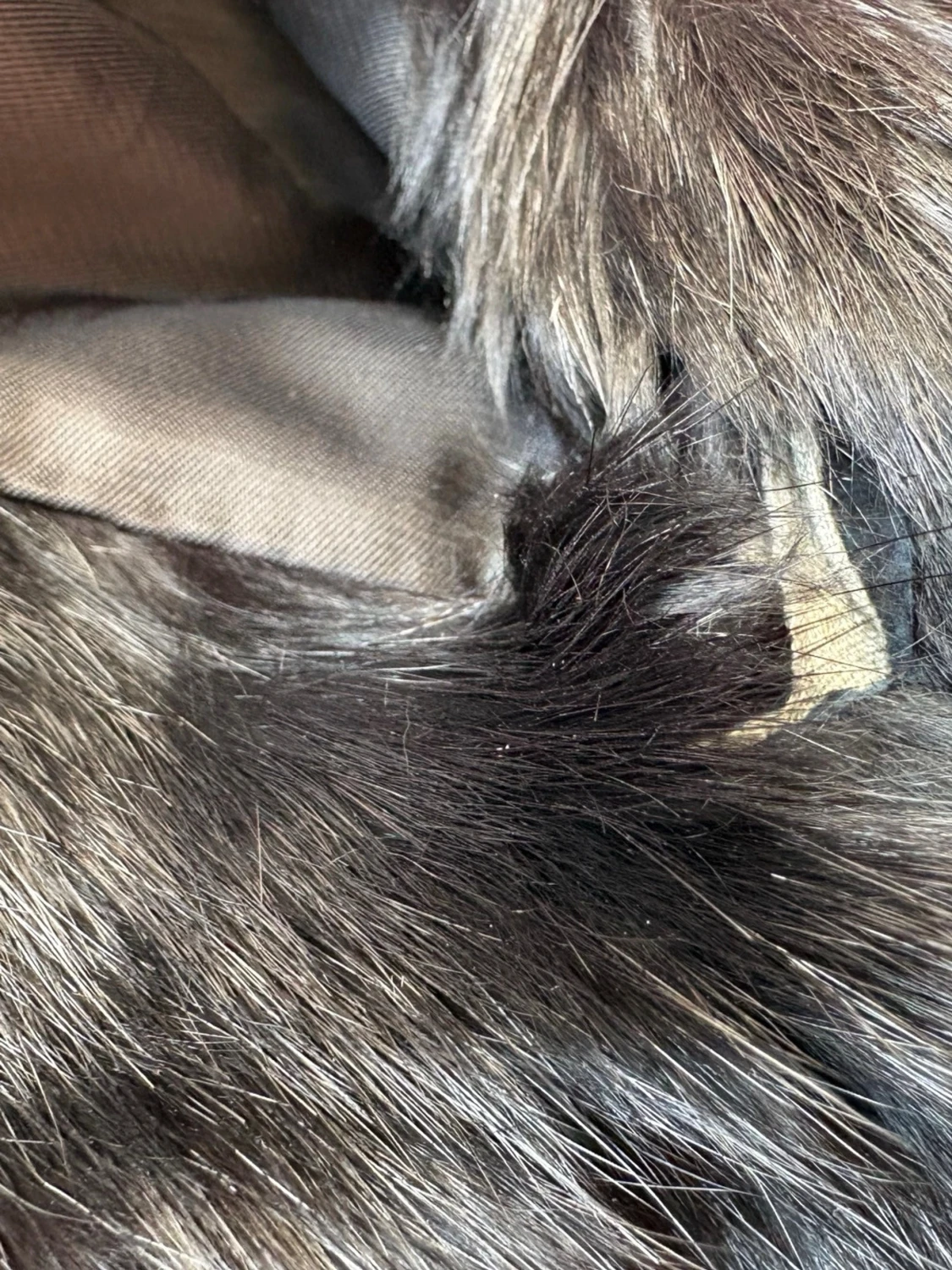 Äkta pälsjacka - 5